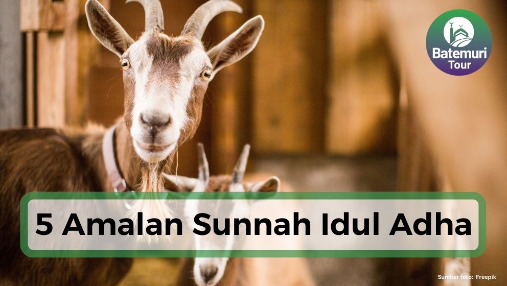 5 Amalan Sunnah Idul Adha yang Bisa Kamu Lakukan Sebelum Berkurban